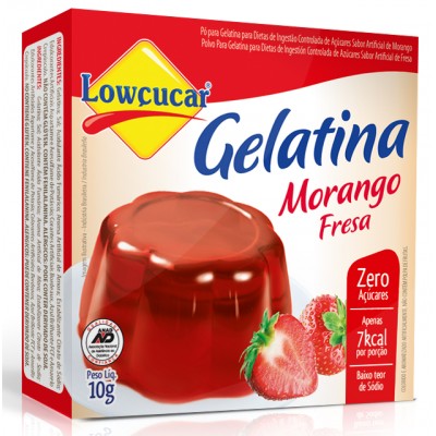 13111 - gelatina diet morango Lowçúcar 10g