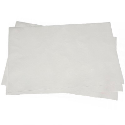 13904 - folha para fundo de bandeja branco 25 x 35cm 500un - toalha Bom Apetite