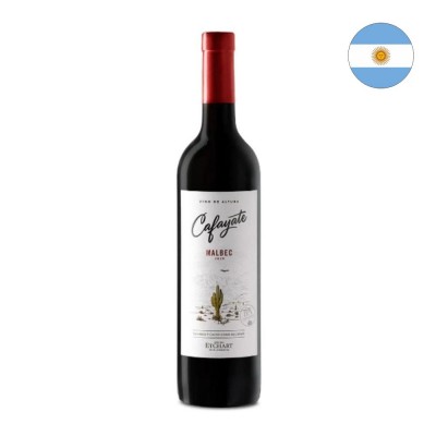 19762 - vinho tinto 750ml argentino Cafayate malbec