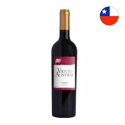 19766 - vinho tinto 750ml chileno Viento Austral carménère Lontue Valley