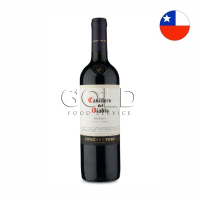 19789 - vinho tinto 750ml chileno Casillero Del Diablo merlot Safra 2018