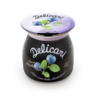 20776 - iogurte blueberry Delicari 170g