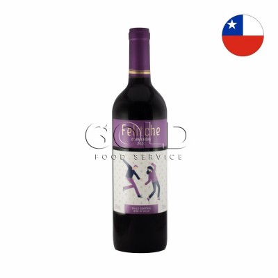 21017 - vinho tinto 750ml chileno Felitche carménère 2022