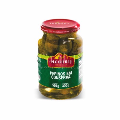 21173 - pepino inteiro Incotril vidro 300g