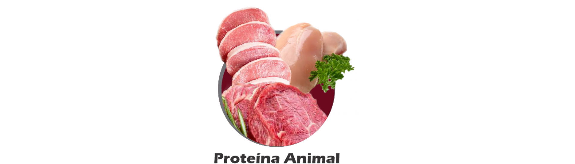 Proteína Animal